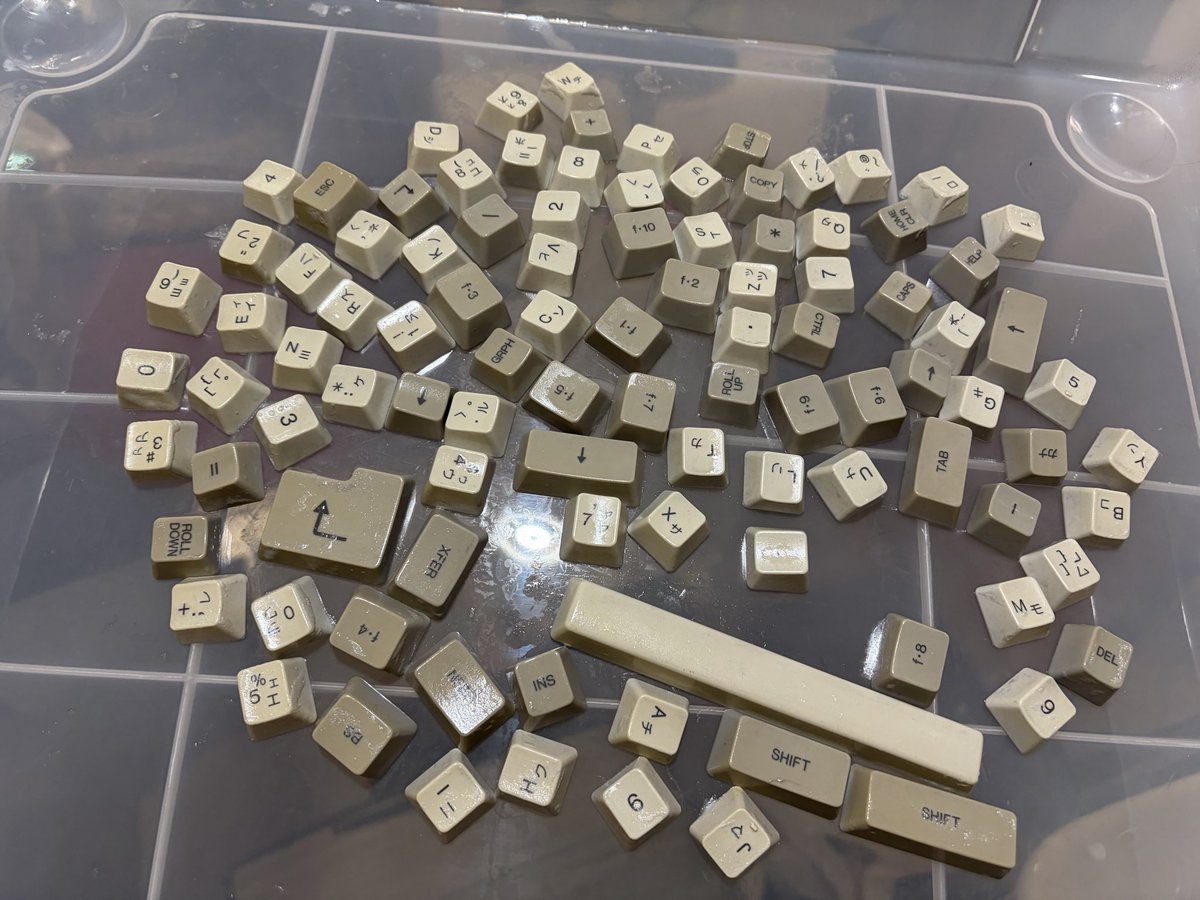 aki_msx's tweet photo. 一晩でこんな感じ
やっぱりブリーチやでなぁ
ワイドハイターEXと太陽光は上手くいかない感じだったもんなぁ
少しムラがあるから
洗ってもう一回やろ
#PCCLUB
#PC286C https://t.co/eB4UtqXJBe