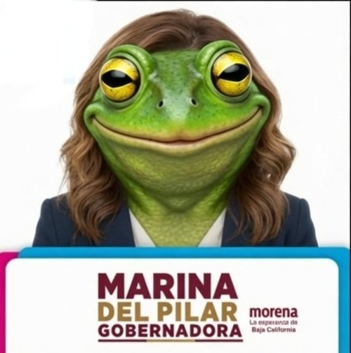 BetoTol7304's tweet photo. @PonchoGutz Exhiben audios de una #NarcA gobernadora ofreciendo información de las mesas de seguridad a un gobierno extranjero los pen dejos #Chayotubers la defienden 🤦
#MarinaSapoDelPilar https://t.co/CnAGPsEdyg