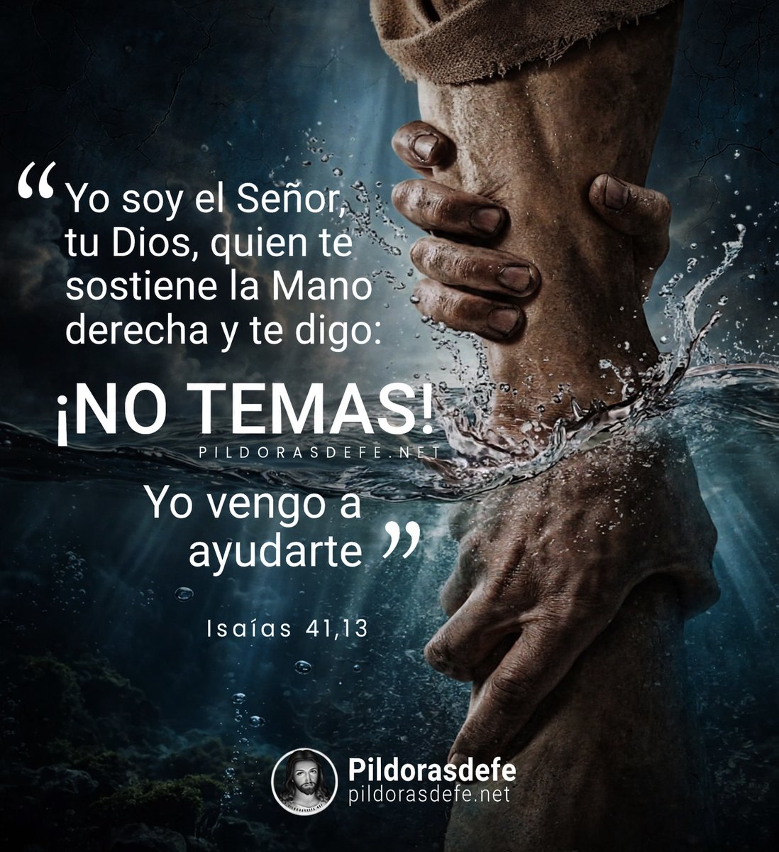 Pildorasdefe's tweet photo. ¡No temas, Yo vengo a ayudarte!

Esto es una promesa de Dios

🙌 https://t.co/YdNp1Xu4g6
