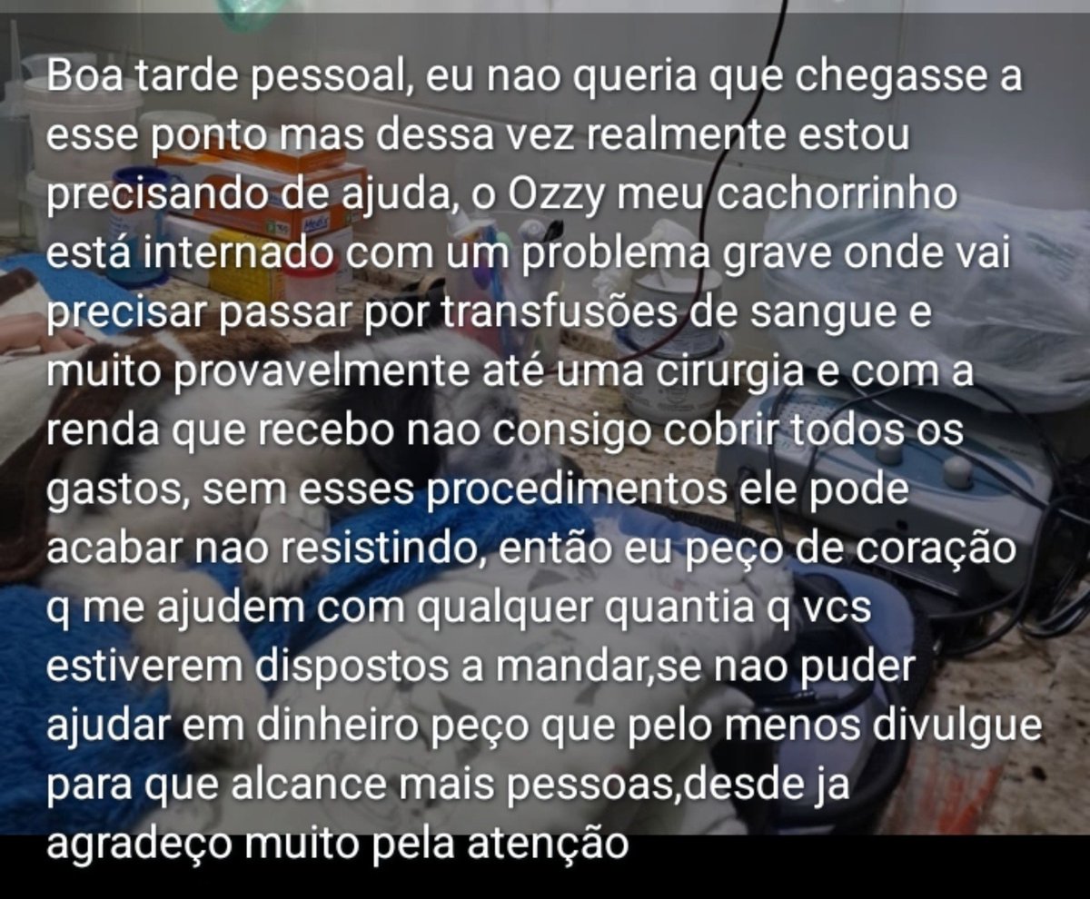 BOLOFOF0's tweet photo. GENTE LEIAM POR FAVOR!!!

https://t.co/93vkqPNwXF

AJUDEM O OZZY! RT + FAV PARA ENGAJAR https://t.co/w2qmVkjSAo