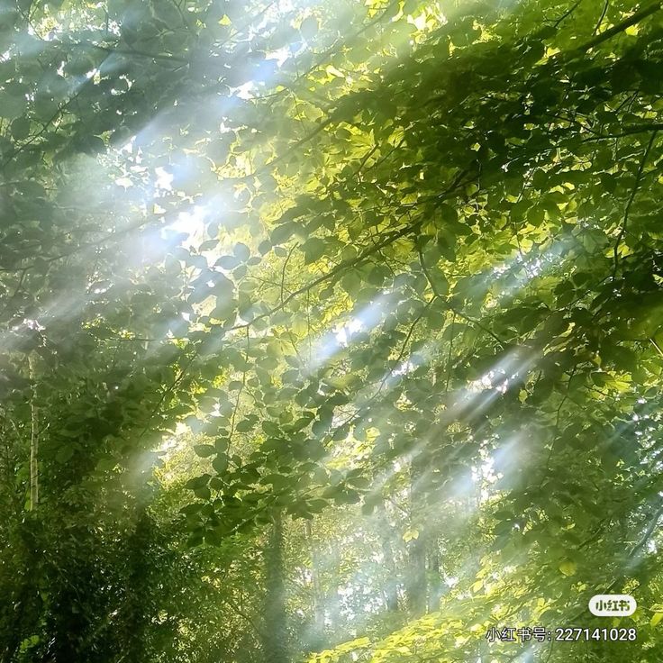 greenvibe's tweet photo. green to blue https://t.co/CM78VK50yt
