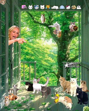 MartyMcFlyYells's tweet photo. The cat coiners’ narrative is evergreen: the internet runs on cats &amp; cats r hilariously undervalued vs dogs. (Currently about 3% of dog coin market cap)

If you realise this &amp; r positioned in PFA’s, you’ve already won

All we have to do is post silly cat memes &amp; we’ll win forever https://t.co/zXJYX8UQmR
