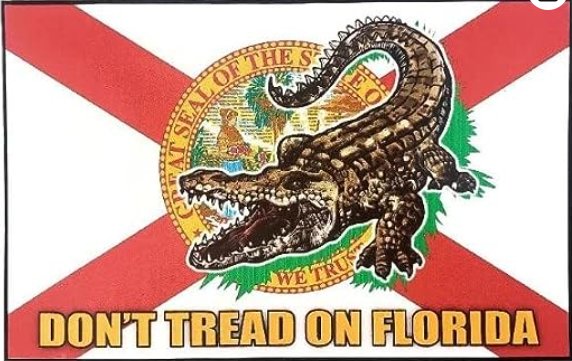 miabenetti's tweet photo. BYRON DONALDS NEVER STOPPED BEING A CRIMINAL IN FLORIDA...
HE JUST HASN'T BEEN CAUGHT...
UNTIL NOW !!!!!!!

Starts with tuition fraud and marriage fraud upon arriving in FLORIDA 
Sells Drugs
Deals Drugs
Distribution of Drugs
Knocks up a chick while married.
Graduates to Charter School fraud and money laundering in Panama
Promotes BLM ideology.
Becomes congressman and becomes a prolific Insider Trading expert.

WHAT PERSON WOULD VOTE FOR THIS ???????

VOTE WISELY FLORIDIANS