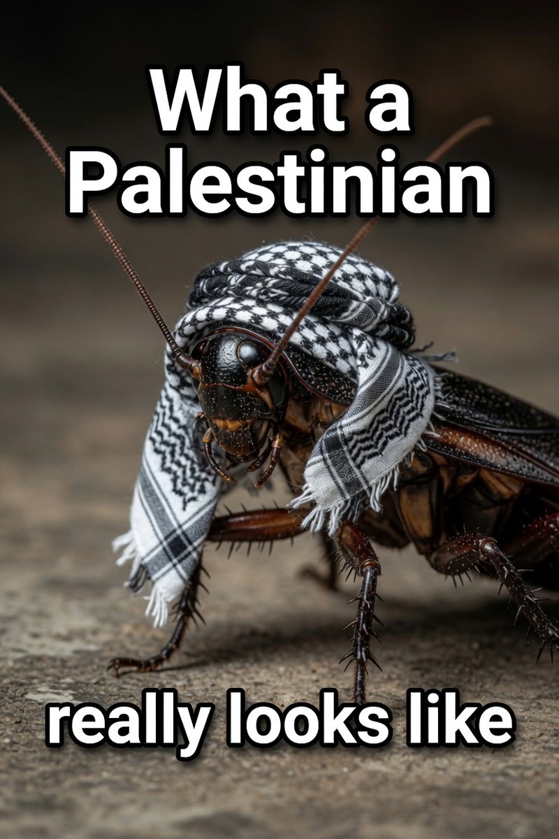 ShemuelFjb47won's tweet photo. There's no genocide instead they breed like cockroaches 🪳 and cry genocide. https://t.co/J2wo7CxGFg