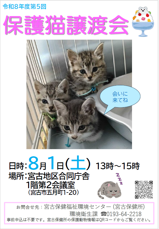 miyako_city's tweet photo. 【新しい飼い主さん募集！保護猫譲渡会　開催】
「小さな命を救いたい」とお考えの方、ぜひ保護猫譲渡会にお越しください。
日時：８月１日（土）午後１時から３時まで
場所：宮古地区合同庁舎１階第２会議室（宮古市五月町）
問合せ先：宮古保健福祉環境センター
（市くらし安全課） https://t.co/5zxtspgK6A