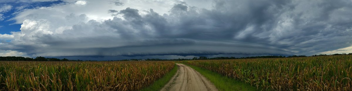 windiraper's tweet photo. 07.20.2026
Tropcial Depression #2 
Pridgen, Georgia 
Coffee County 
Had to outrun this one.
I'll be posting more soon! You have permission to share! https://t.co/KpeGBtklnG

@spann @jnelsonWJCL @ChrisWALBwx @WXgirlKerri @foxweather @weatherchannel @NWSJacksonville @nws https://t.co/zUqNdzYKCN