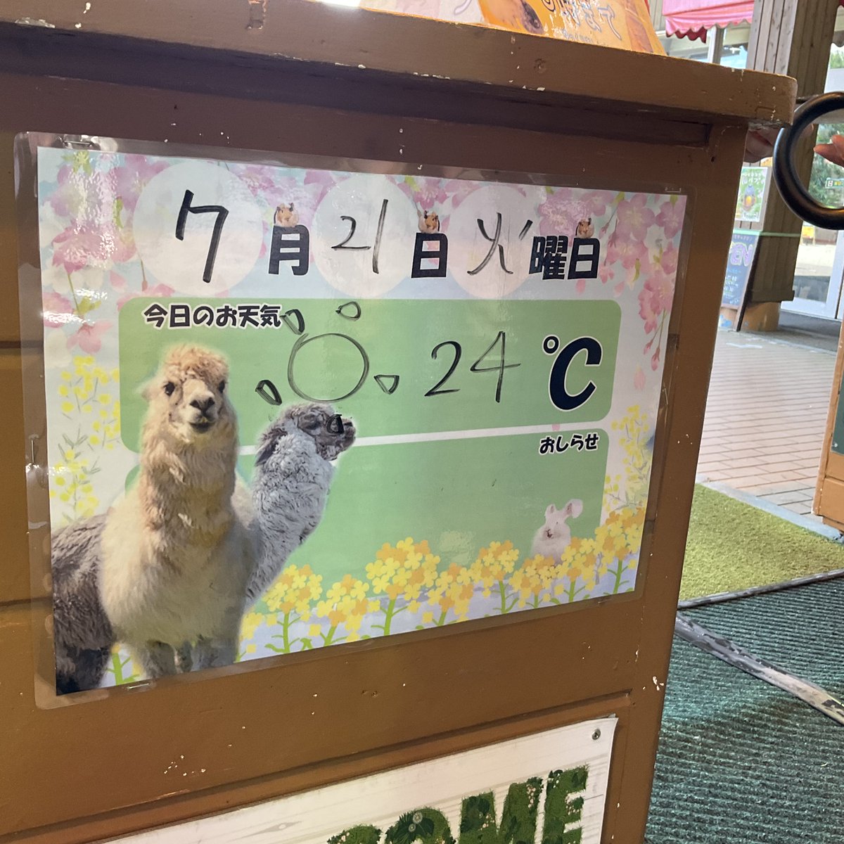 DICE_K1966's tweet photo. 今日から3days那須デス〜
駐車場は上段満車🈵
大谷の交差点あたりから多数のお巡りさんが👮‍♀️警備中〜‼️
んん⁉️もしや那須ご静養中の、、、以下省略
ブロードにいらっしゃるかな😊
2026/07/21 9:51
#那須どうぶつ王国
#那須町 https://t.co/mWH3HXxSyT