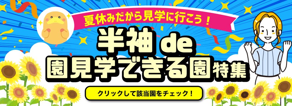 cococari_hoiku's tweet photo. ＼毎月恒例！〇〇な園特集🌟／

7月は…

普段は実習や講義で見学に行く時間がない‥
だからこそ、夏休みは園見学に行こう🌻

今回は、半袖で園見学できる園特集です✨

今すぐチェック👇
https://t.co/bdXi5WiI8t

#27卒 #就活 https://t.co/7mQx7CLfwt