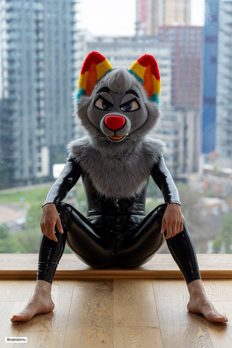 InfinityFloof's tweet photo. Shiny dog 🐕 ✨️ 
📸@raitobimu_i https://t.co/AStXXObETZ