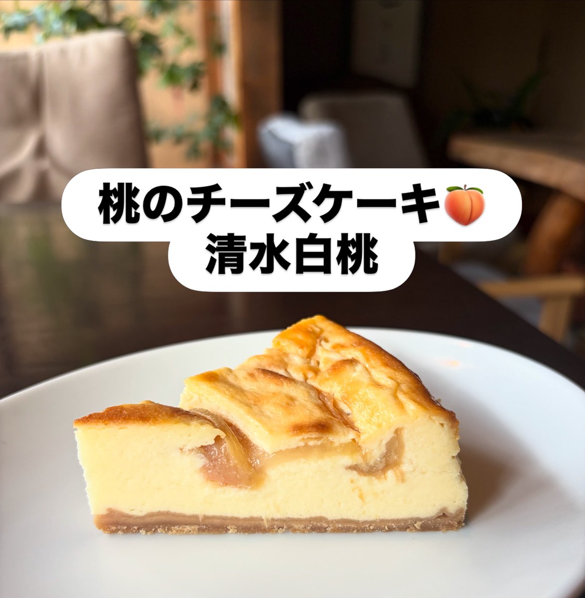 coffeetohito's tweet photo. 【本日ケーキ】
桃のチーズケーキできました✨
#珈琲と人  #珈琲と人のケーキ  #清水白桃 #桃のケーキ https://t.co/fQEXd5Rf4e