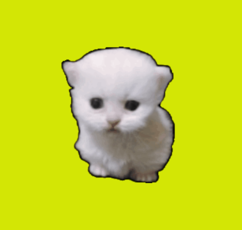 WinnyOnChain's tweet photo. ROBINHOOD JUST GAVE US FREE NARRATIVE
So there is viral cat on tiktok called "Hopcat":
https://t.co/1mhuIgtCnl...
SO MANY MEMES ABOUT IT
FREE ANIMAL CAT NARRA BY ROBINHOOD

https://t.co/D13rJgpqrD https://t.co/zsZPEBVhmQ