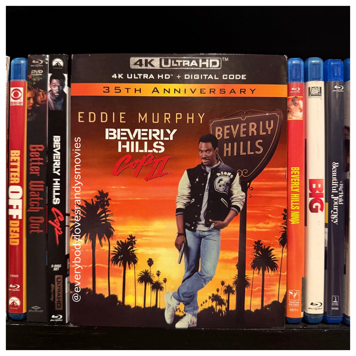 RandysMovies's tweet photo. Movie: #BeverlyHillsCopII (1987)

Starring: #EddieMurphy #JudgeReinhold #JürgenProchnow #RonnyCox #JohnAshton #BrigitteNielsen #AllenGarfield #DeanStockwell #GilHill #GilbertGottfried #PaulReiser #PaulGuilfoyle #RobertRidgely  

Directed By: #TonyScott

#FilmTwitter
#4kBluRay 
#MovieNerd 
#MovieCollector
#4kBluRayCollection 
#MovieCollection 
#MovieBuff
#BeverlyHillsCop
#PhysicalMedia