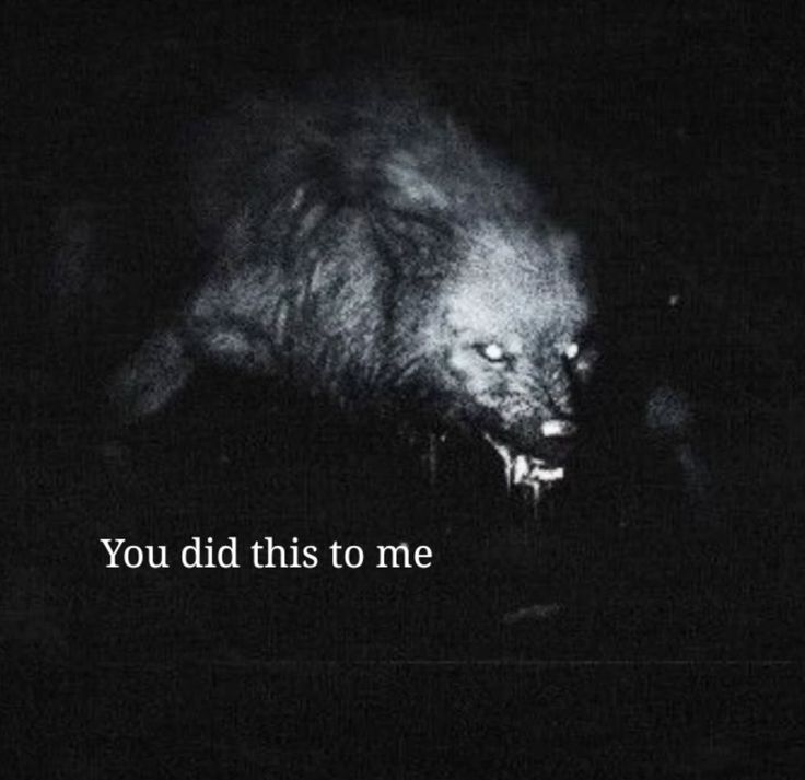 deepdarkvibe's tweet photo. https://t.co/Nx0P8wfAuT