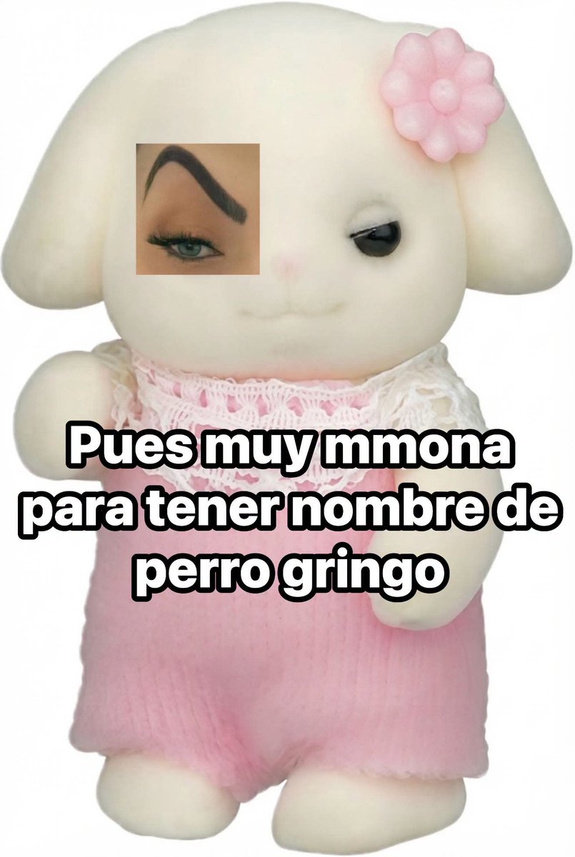 leshiaa's tweet photo. Esto es algo que la @mollybryant24 diría: https://t.co/yAPYrR0Fg6