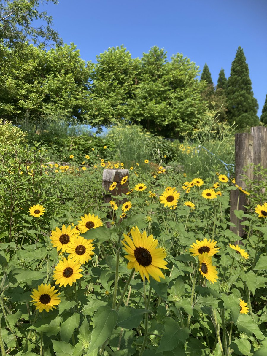 garden_museum tweet picture