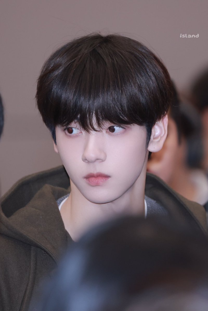 송이 tweet media