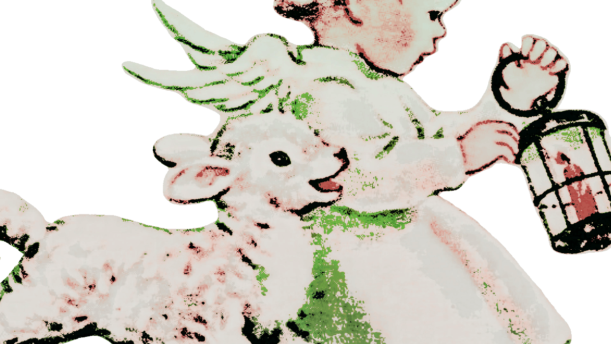 …͜͜✚ 𝒘𝚊𝚛ren. tweet media