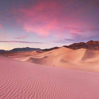 AssaneGorgui's tweet photo. The multi-chain future is here to stay. Different blockchains solving different problems creates a stronger overall ecosystem. 🌟 🎈 🌹 https://t.co/yDh7ddio9Q