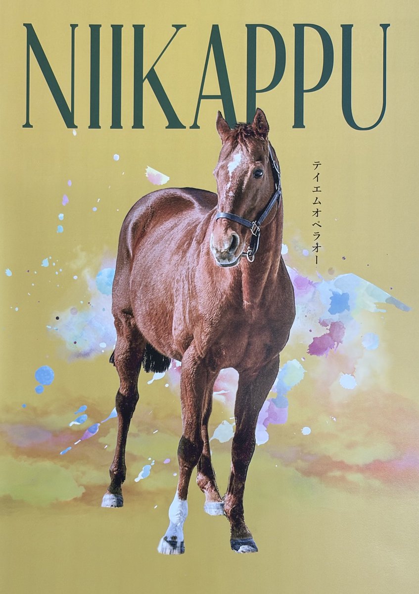 niikappu_ta's tweet photo. 観光協会が保管していました、#テイエムオペラオー号 と #ナリタブライアン号 の表紙パンフレットを、皆さまの名馬を想う暖かいコメントに応えて、７月24日（金）より #道の駅サラブレッドロード新冠 で、配布します。枚数に限りがあります。 https://t.co/P1A8bJSOK9