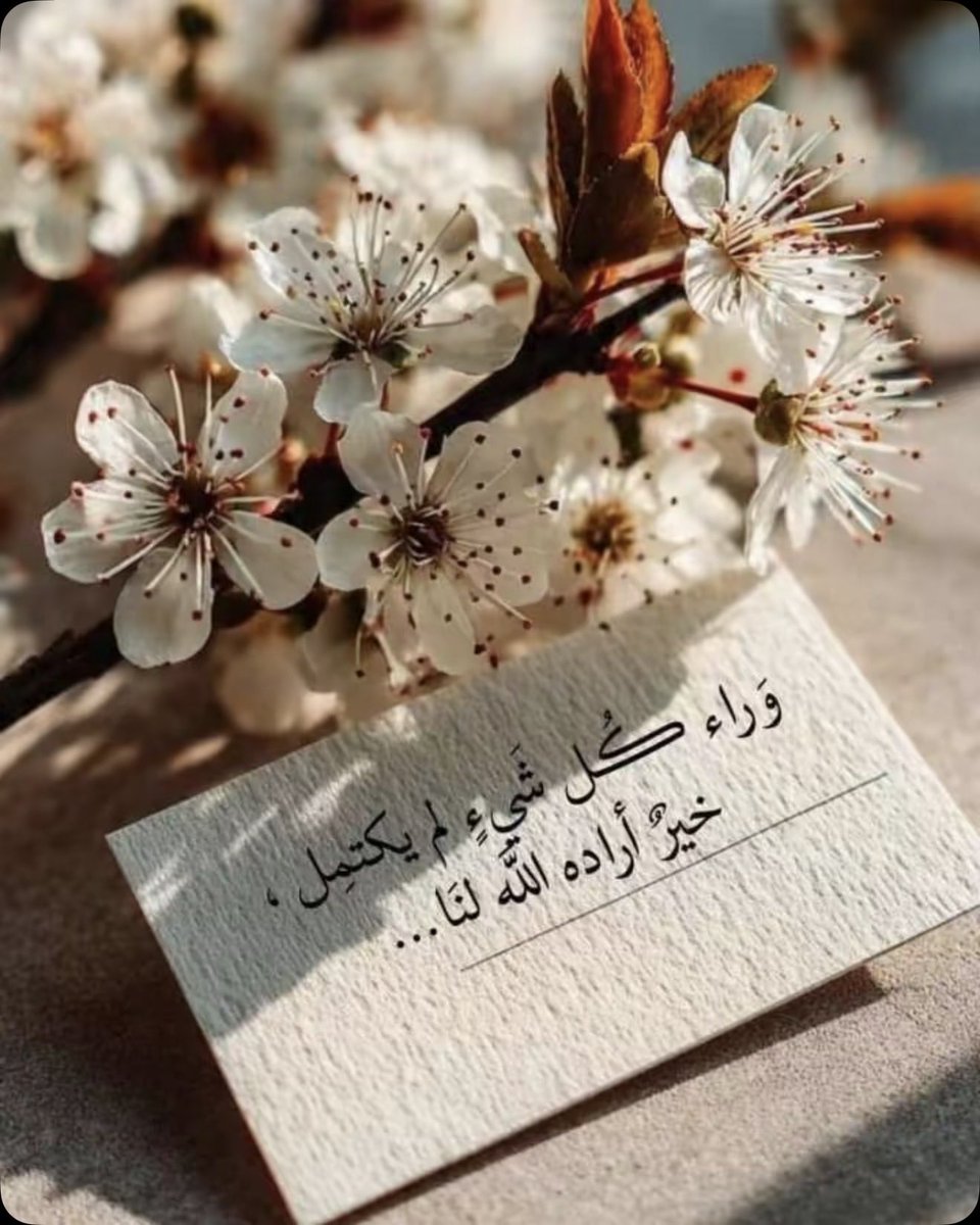Mamdouh_mab's tweet photo. https://t.co/2UuOsnBSQI