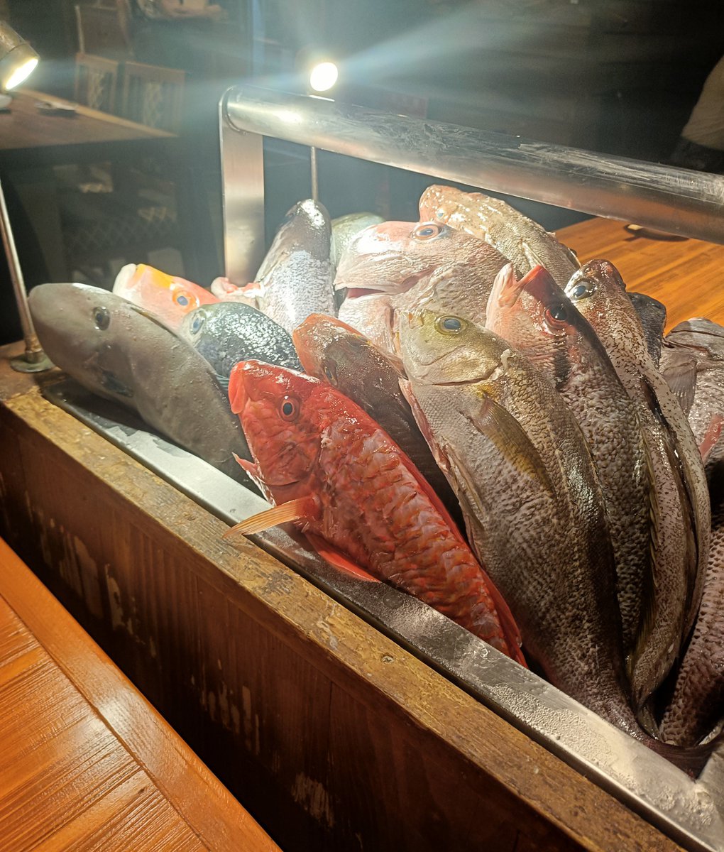 a_megu's tweet photo. おさかな祭開催した！！！
黒むつのお刺身おいちすぎた！！！
前の日瑛斗くんの現場にもきてくれて、他界なのにお付き合い頂きありがと～ https://t.co/qCjQe2wMkj