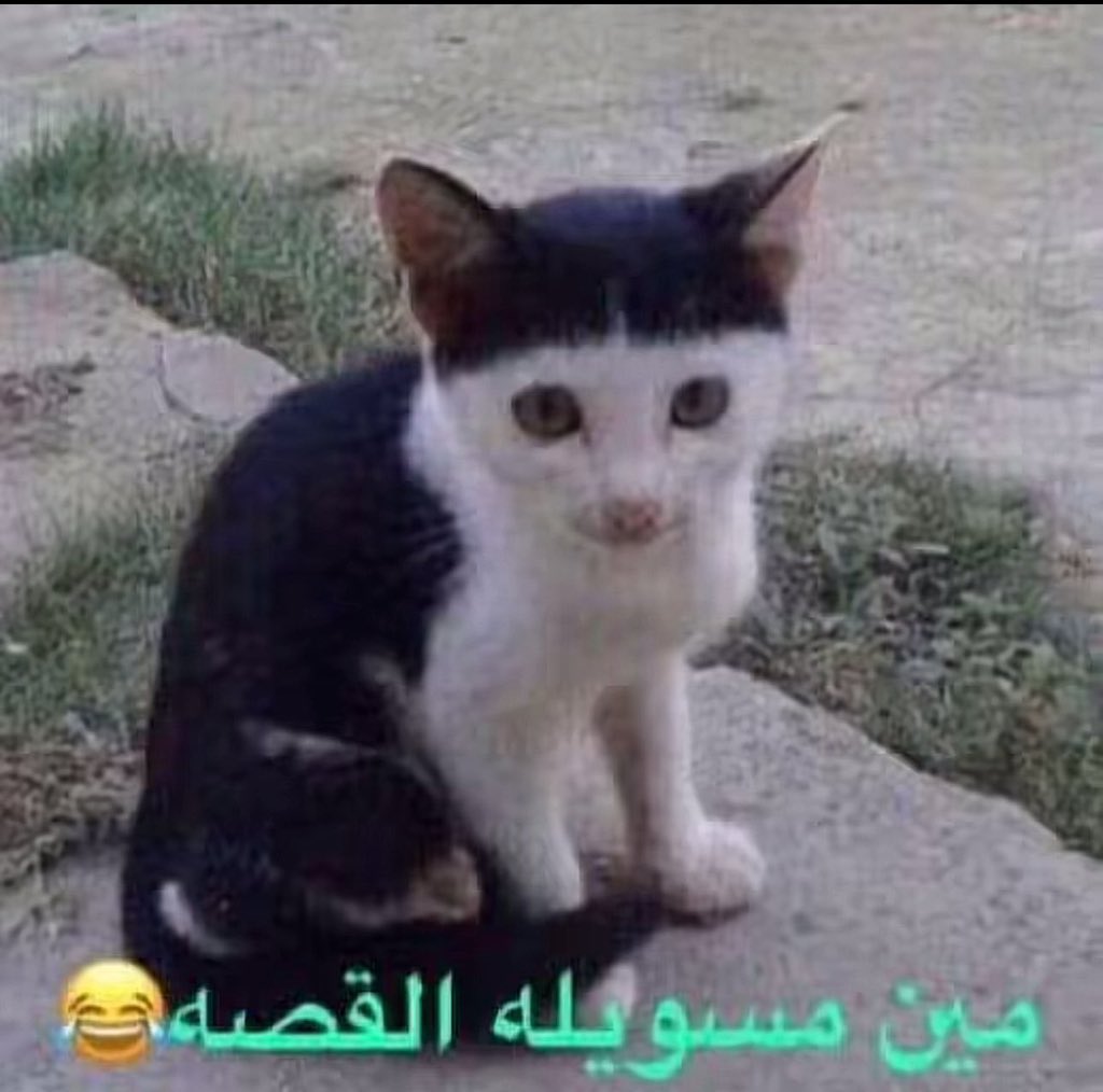 ! tweet media