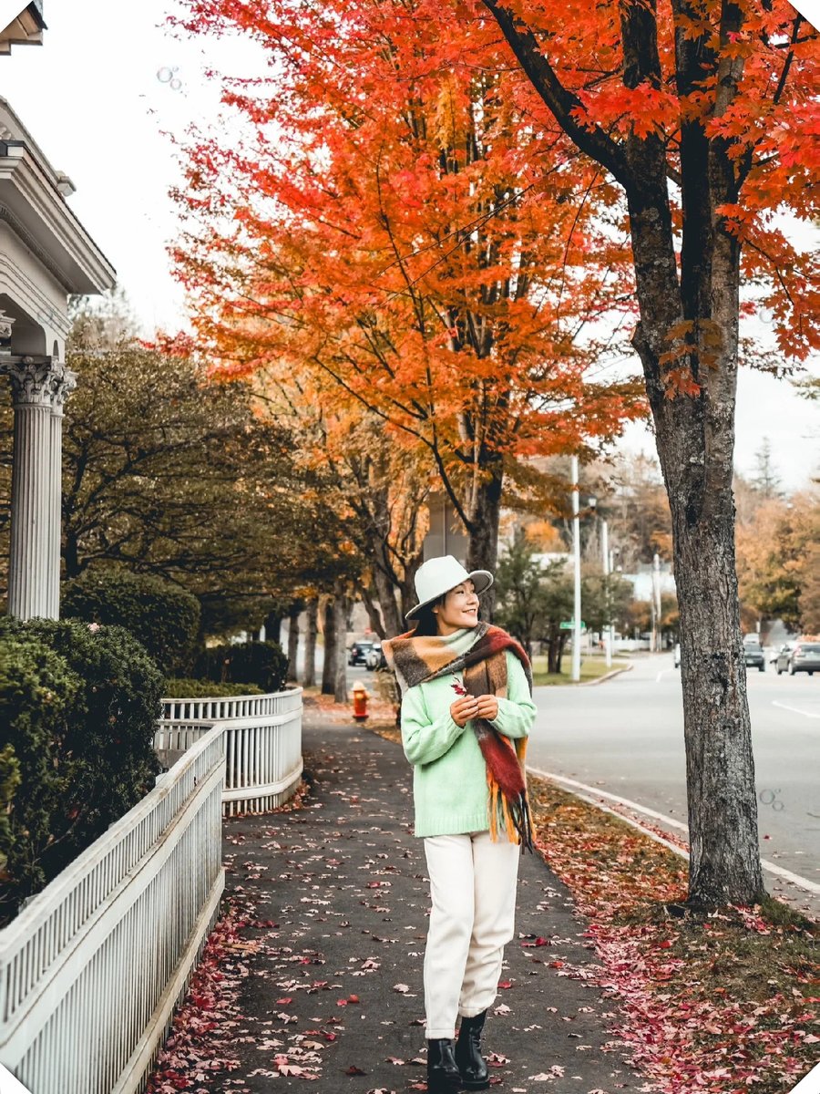 DeannnFowler2's tweet photo. Beautiful autumn breeze, golden leaves dancing—perfect afternoon for a hot latte and a walk! ， https://t.co/s7osxUnyB3