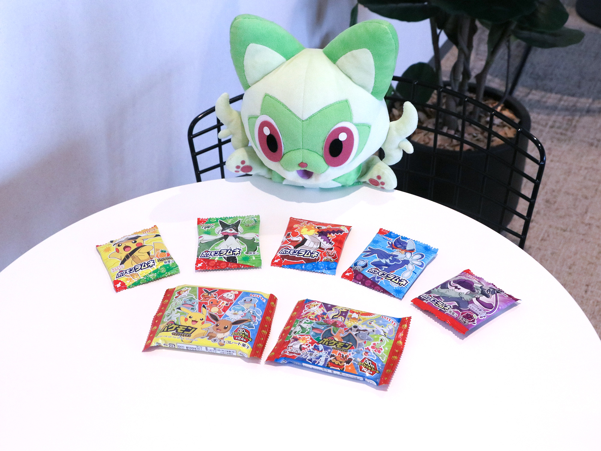 ポケモンだいすきクラブ編集部【公式】 X પર: 