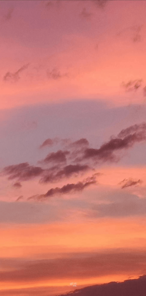 theRealLFIles's tweet photo. Just spent an hour wandering along the coastal path at golden hour—waves crashing, seagulls calling, and the soft sunset painting the sky pink and orange. No alarms, no plans, just pure calm. This is the magic of slow travel. https://t.co/hatsexF4kp