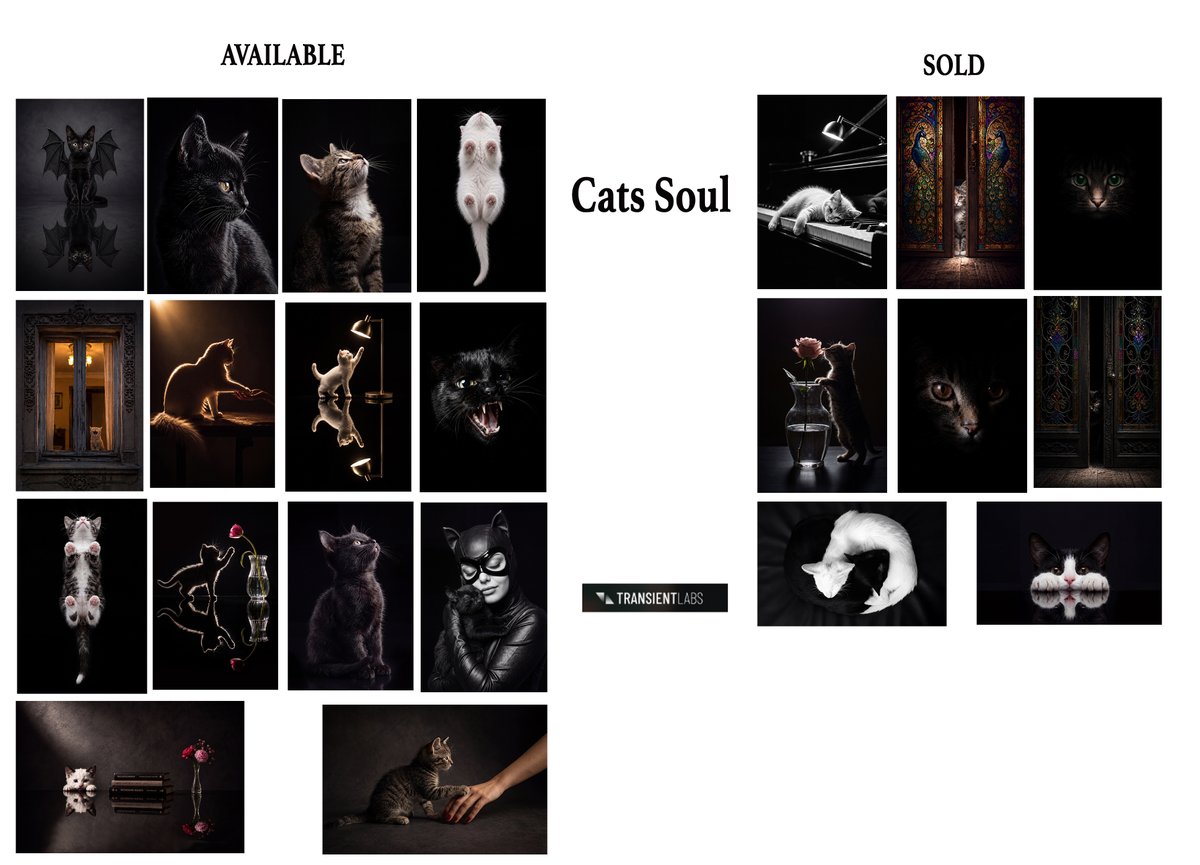 gulyildizart's tweet photo. GM ☕️
UPDATE 🔥
Cats Soul 
8 Sold / 14 Left 
0.035- 0.05 (mostly) 
If you want to support stray cats 😻 (1/3)
Link and other details , videos https://t.co/JUuRajbCXA
