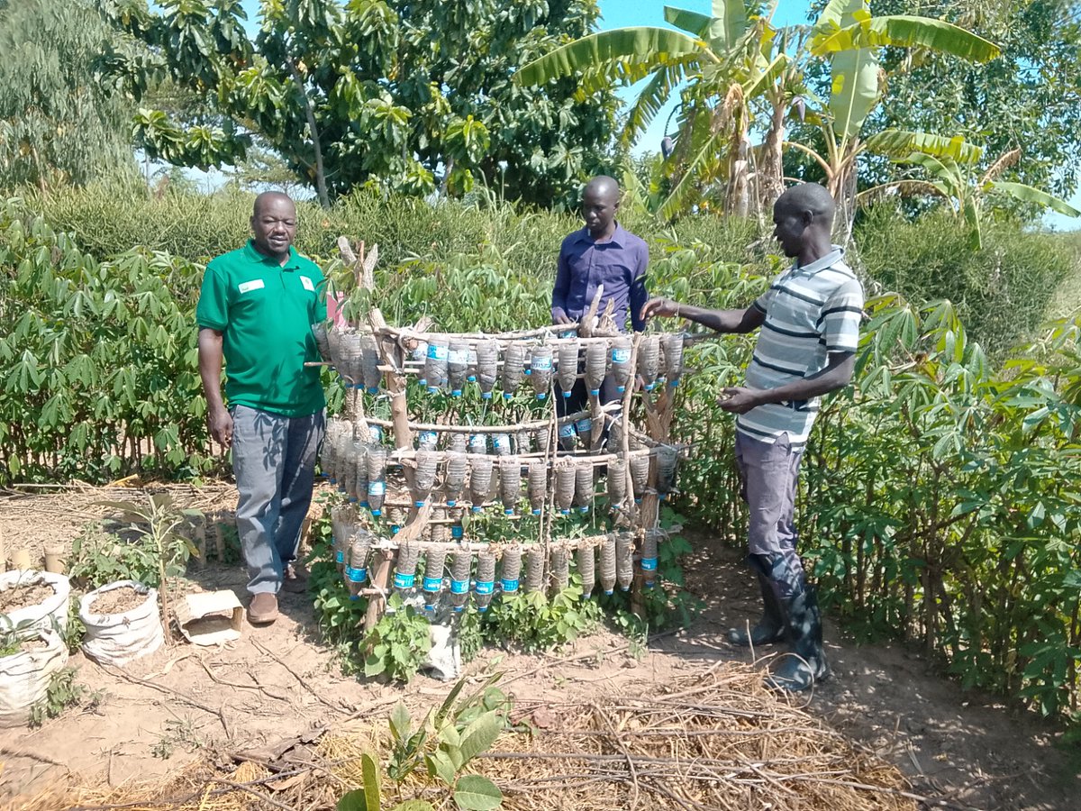 fapad16206's tweet photo. FAPAD paid a visit to one of the farmers practicing Sustainable Agriculture Land Management (SALM) in Amolatar District. Under the Strengthening Resilience and Food and Nutrition Security of Smallholder Farmers in Amolatar District (RE-FAN Project) funded by VI Agroforestry. https://t.co/N4BMHK5Nf1