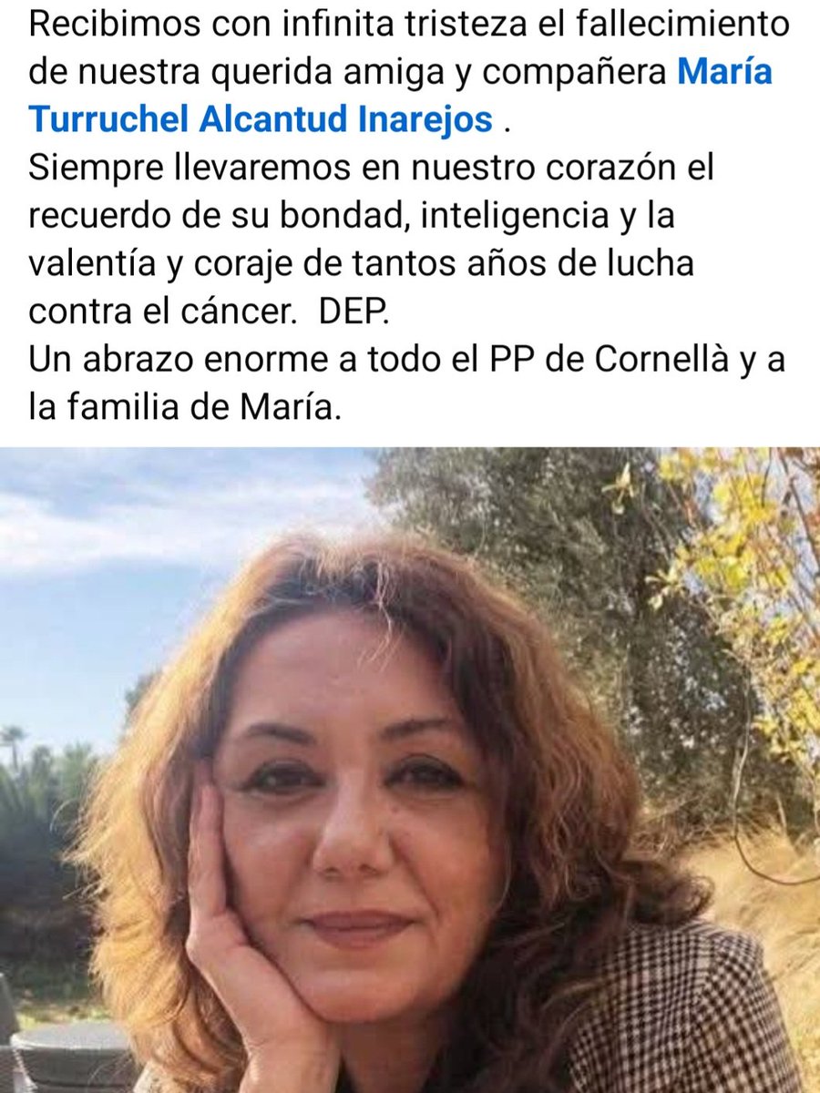 Alejandro Fernández tweet media