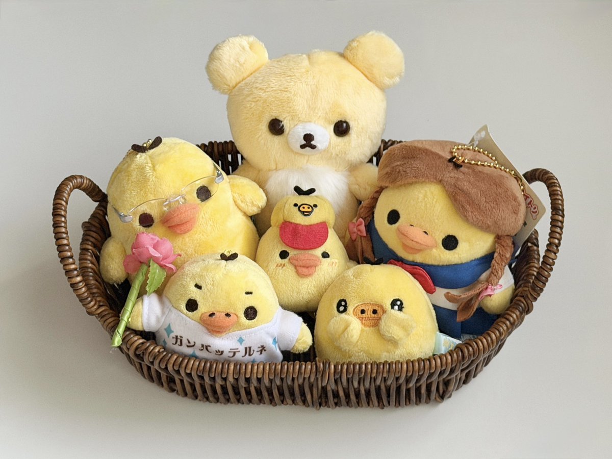 cxllsam's tweet photo. ฅʕ •ﻌ• ʔฅ💛ε(｡･ө･｡)з https://t.co/TZWlk9ds48