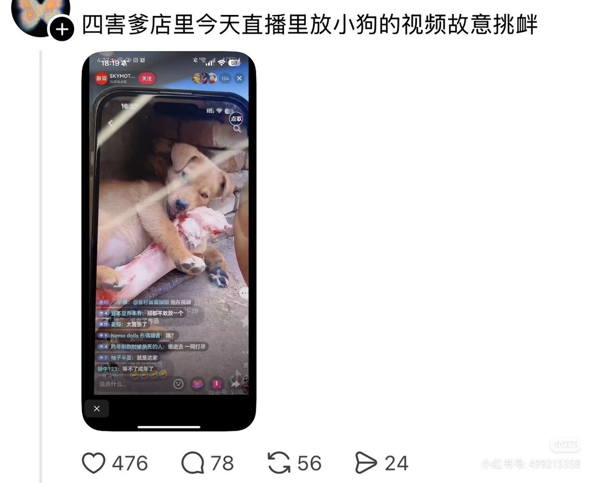 Volocy tweet media