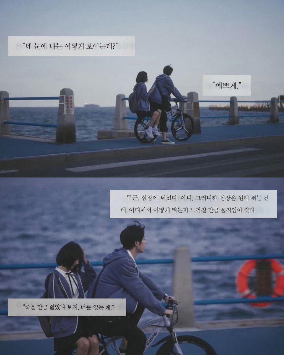 채리 tweet media