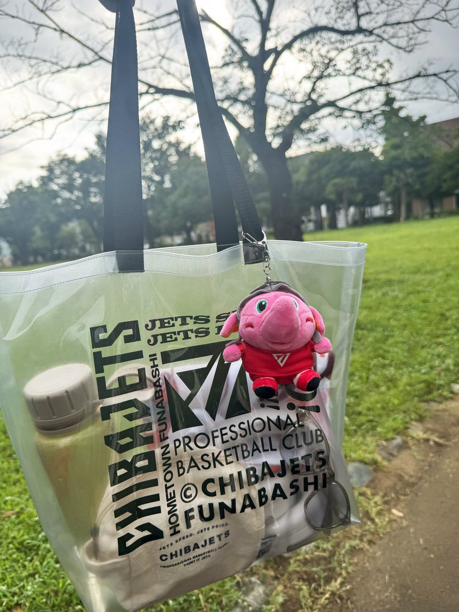 公式】千葉ジェッツ グッズ (@CHIBAJETS_store) / Posts / X