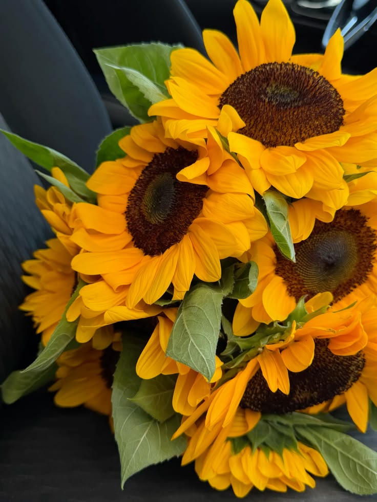 hanzalaethic's tweet photo. Pretty 🌻 https://t.co/qNfgP0jshY