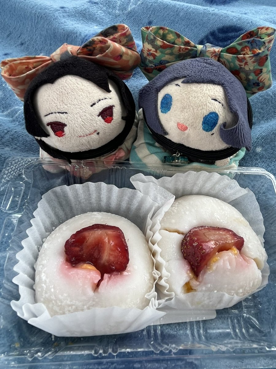 tsu_zilla's tweet photo. Picnic https://t.co/d6sXtyssy0