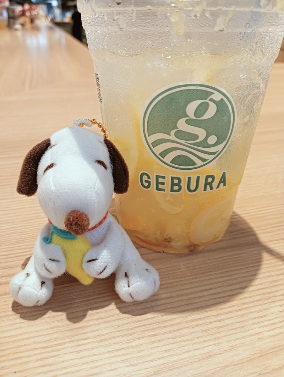 keisuke_koala's tweet photo. GEBURA本店の2つとなり、GEBURAスールで、広島レモネードを、頂いております🍋
早速200円でおかわりしました(^^ゞ
こちらはレモンのすっぱさが、より感じておいしいです✨
(●)´`・)<ボクも、ここのレモネード好きだよ♪
#GEBURA
#広島レモネード
#表参道商店街
#宮島
#厳島
#スヌーピー https://t.co/aStns89WC1