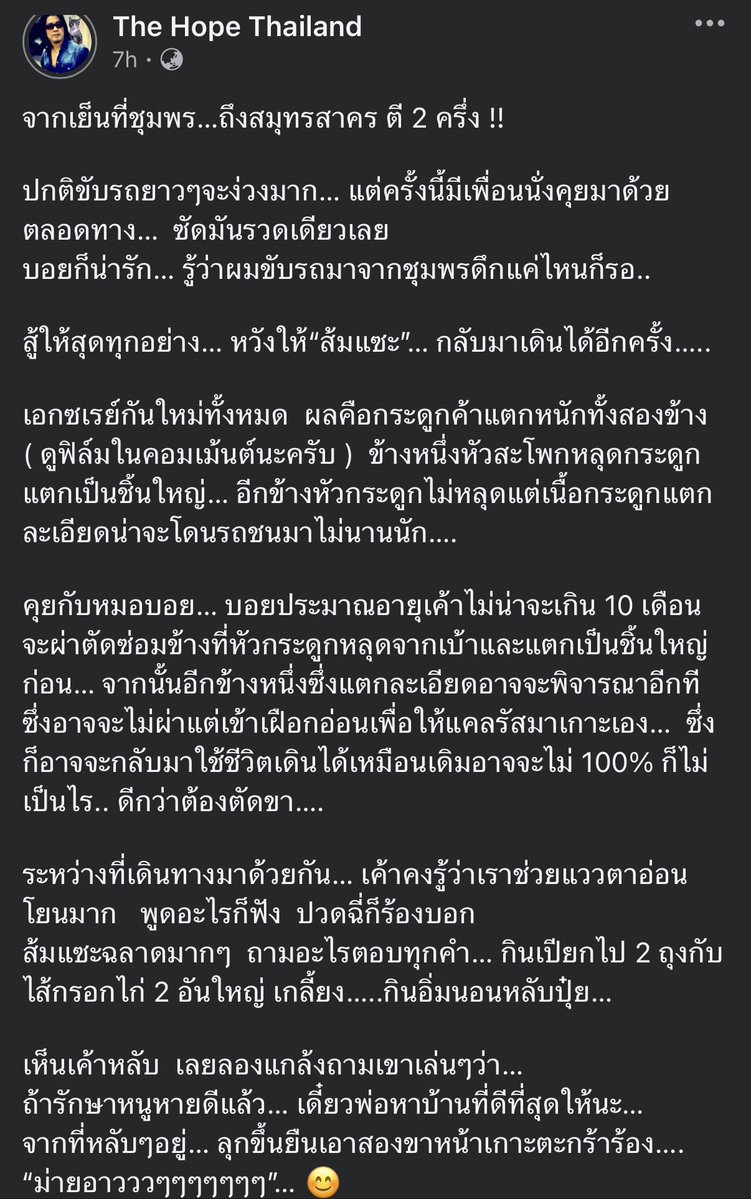 KhaohomSiri's tweet photo. อัพเดต น้องที่พี่ปุ๋มและทีมช่วยระหว่างตามหาส้มส้ม

#แมวหายบนรถไฟ #ส้มส้ม https://t.co/BNcqqOPHMM