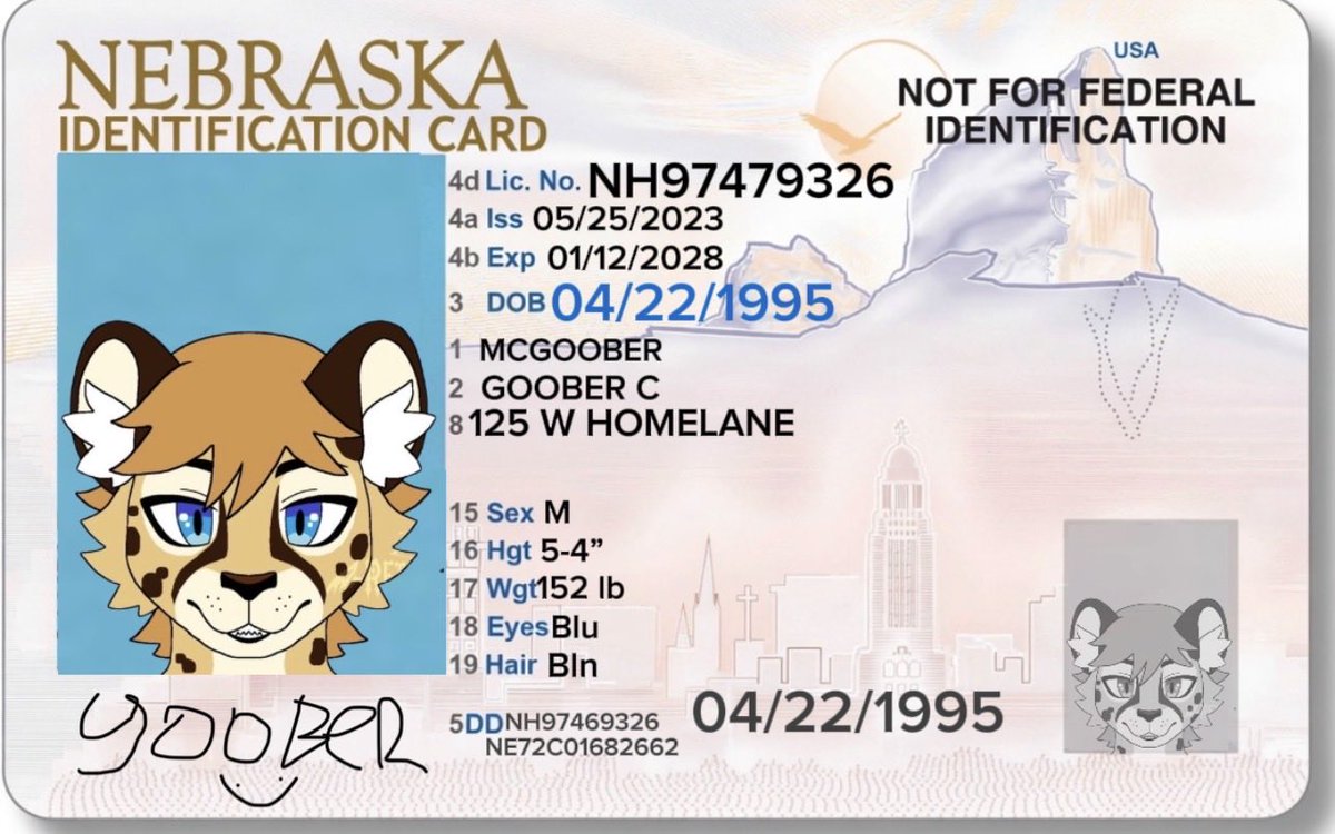 Thatoneidot2's tweet photo. I can drive #furry https://t.co/WSyvfTPp1i