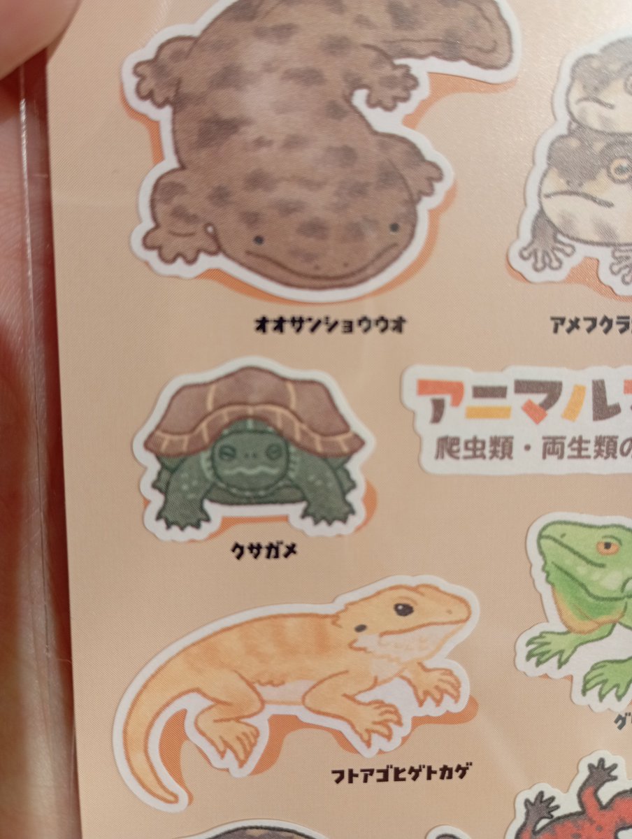 BlackkatBIBI's tweet photo. セリアで爬虫類，両生類のシールが売ってますよ‼️
ちゃんとクサガメもいて嬉し涙😢 https://t.co/buzM1oj4NN