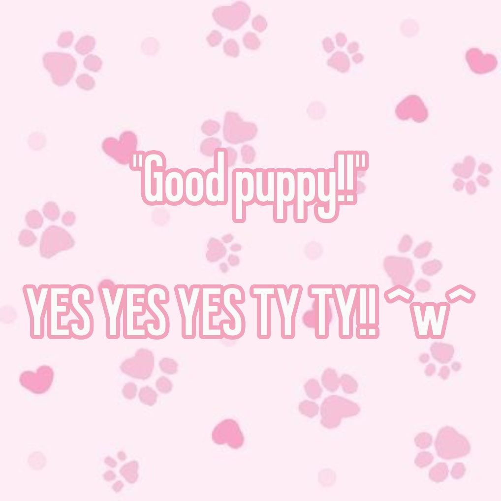 pupgirlblair's tweet photo. https://t.co/L0NnelhRaE