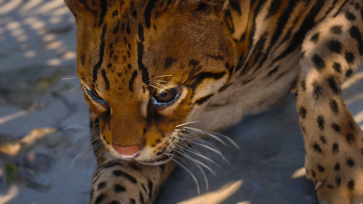 KevynMedeiros's tweet photo. “There’s ocelots nearby” #ACFinest #AssassinsCreed #VirtualPhotography https://t.co/kFDVMdlqKV