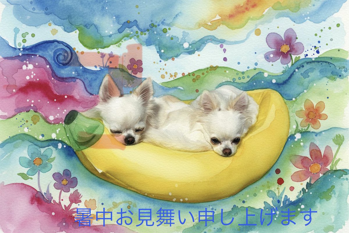 Kanu_Shibata's tweet photo. 梅雨明けましたね☆
暑中お見舞い申し上げます❣️
＃チワワ
＃白いチワワ
＃暑中お見舞い
＃梅雨明け https://t.co/IHS2JNJYUL