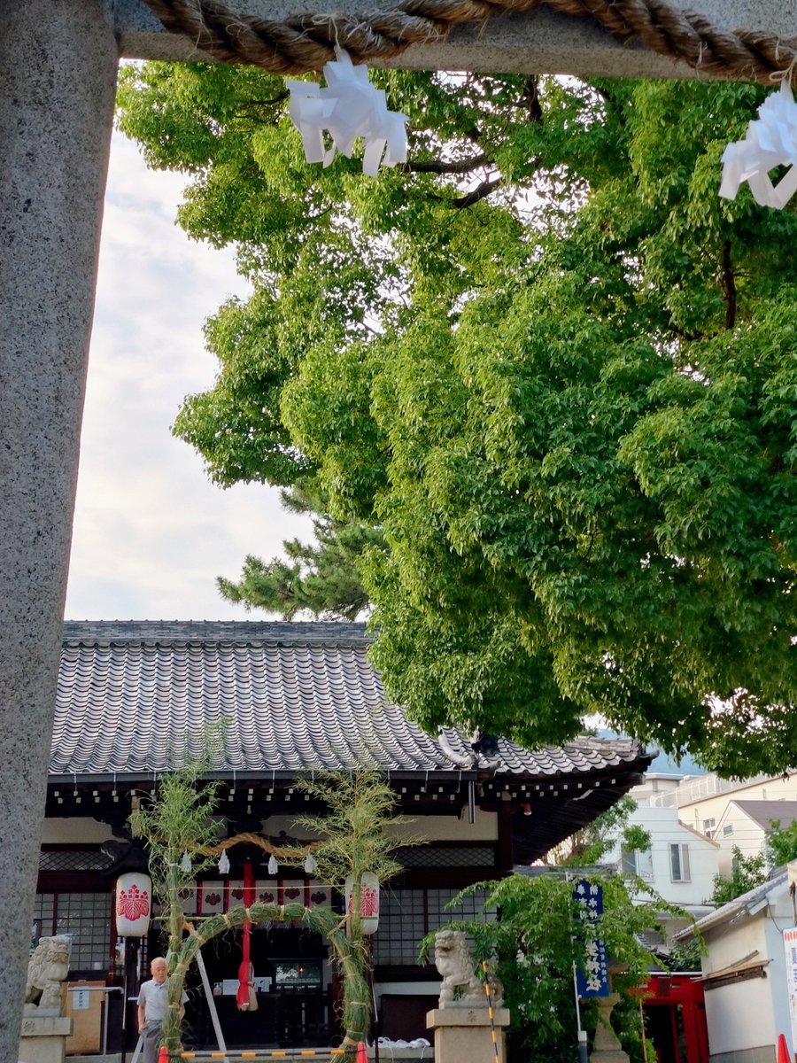 cococonokokoko's tweet photo. 六甲を散歩していて
偶然知った高羽丹生神社
(たかはにぶじんじゃ)

創建は不明らしいですが
境内には、1689年の鳥居
1794年・1831年の石灯籠
が現存し
樹齢5～600年の楠がある、、、と、
翌日知りました🤣

実際、見てはいるのですが

もう一度、行って見てきます⛩️ https://t.co/bKje555bFa