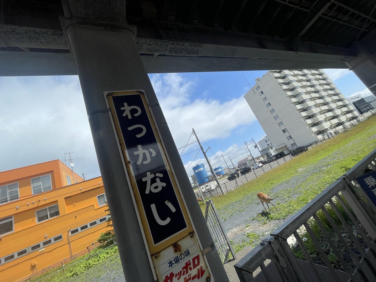 kanmuri102's tweet photo. 実は稚内きてました https://t.co/prNha5Blgh