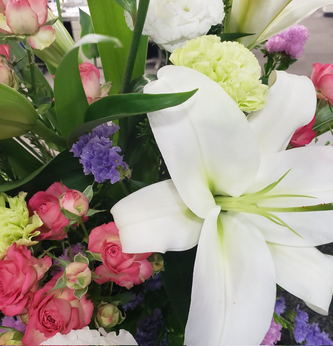 yamami200611's tweet photo. 会社の受付の花🌼～😻 https://t.co/wOjSCjeELv