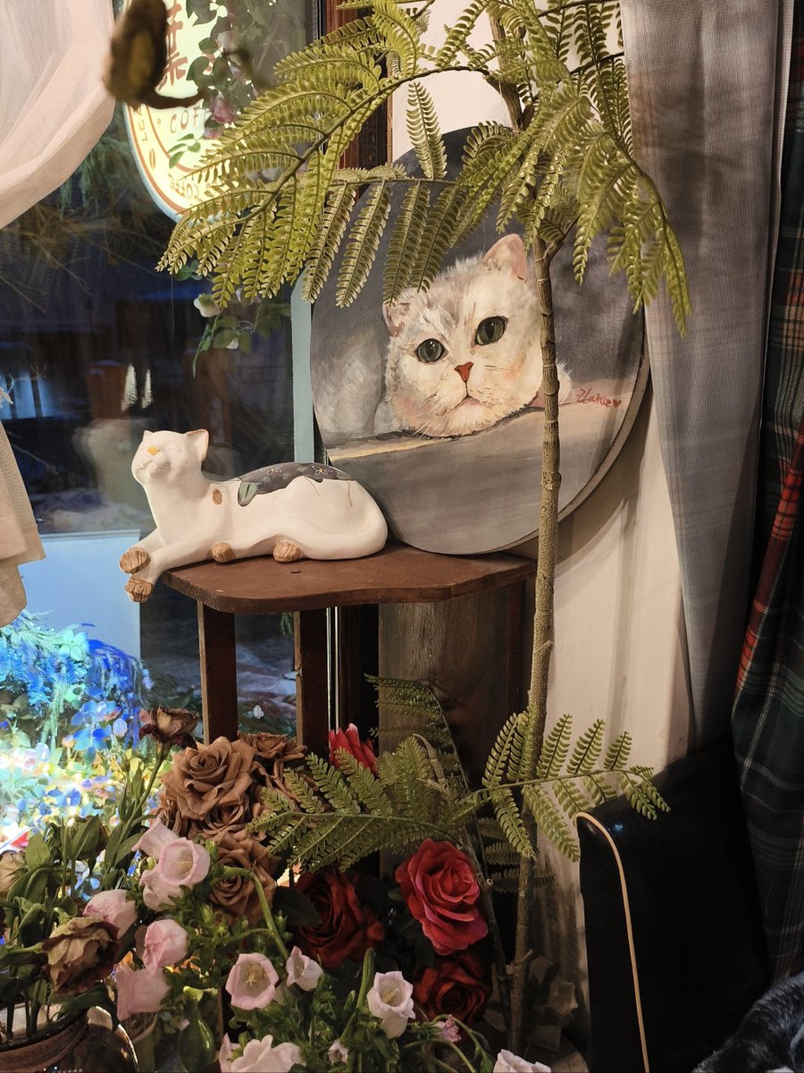 roy39008046's tweet photo. Cozy Sunday at home: wrapped in a knit blanket, sipping hot cocoa, and watching the rain tap on the window. Perfect little reset. https://t.co/Q8giiQzPHx