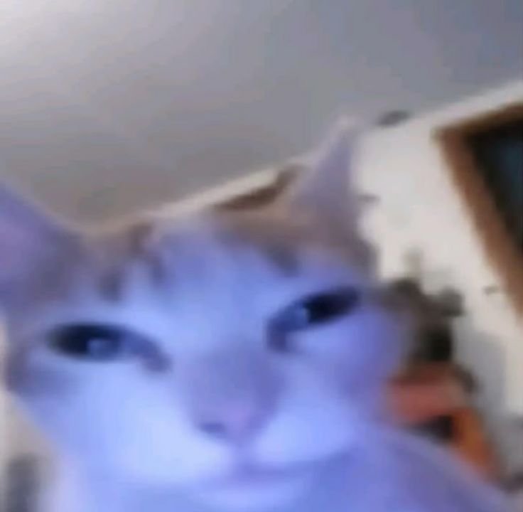 Tanco_ft's tweet photo. @inkjkv Haste una paja y ya https://t.co/2smJJVUD9k